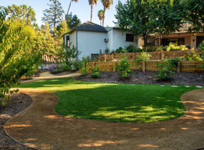 Backyard big – Landscapes 2