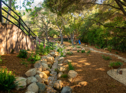 landscape1 Landscape1