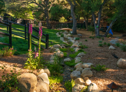 landscapes2 Landscapes2