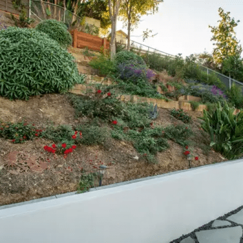 Cvr-Walls-Hillsides3.png